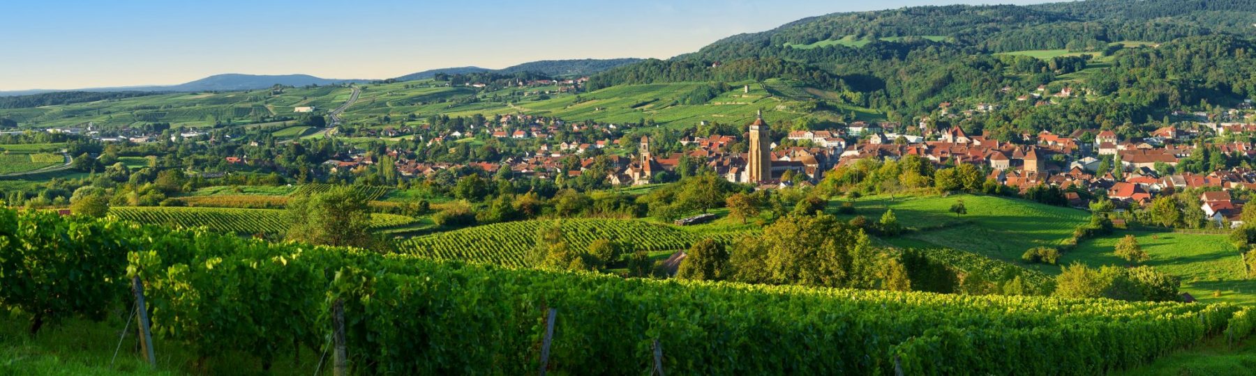 jura arbois