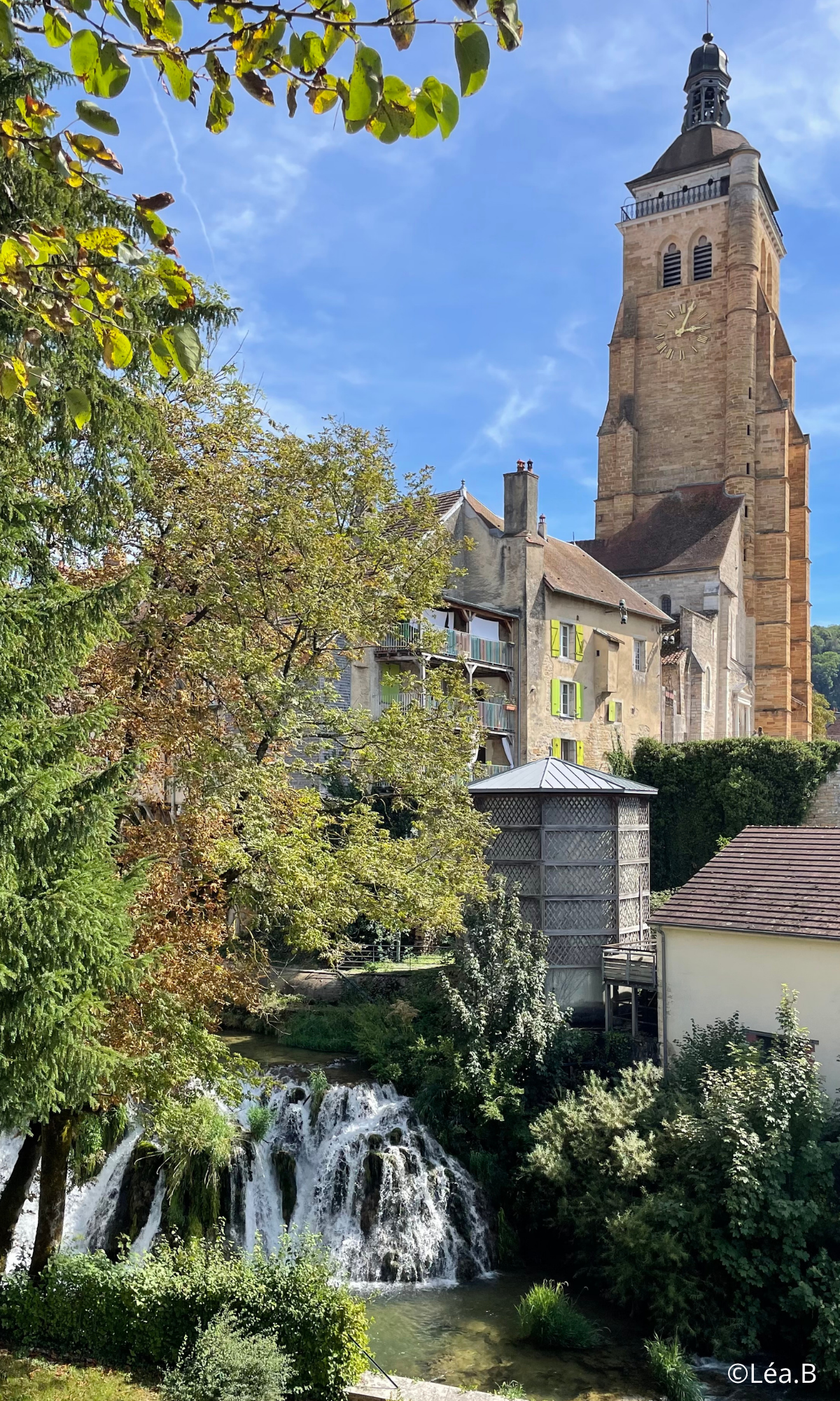 photoarbois